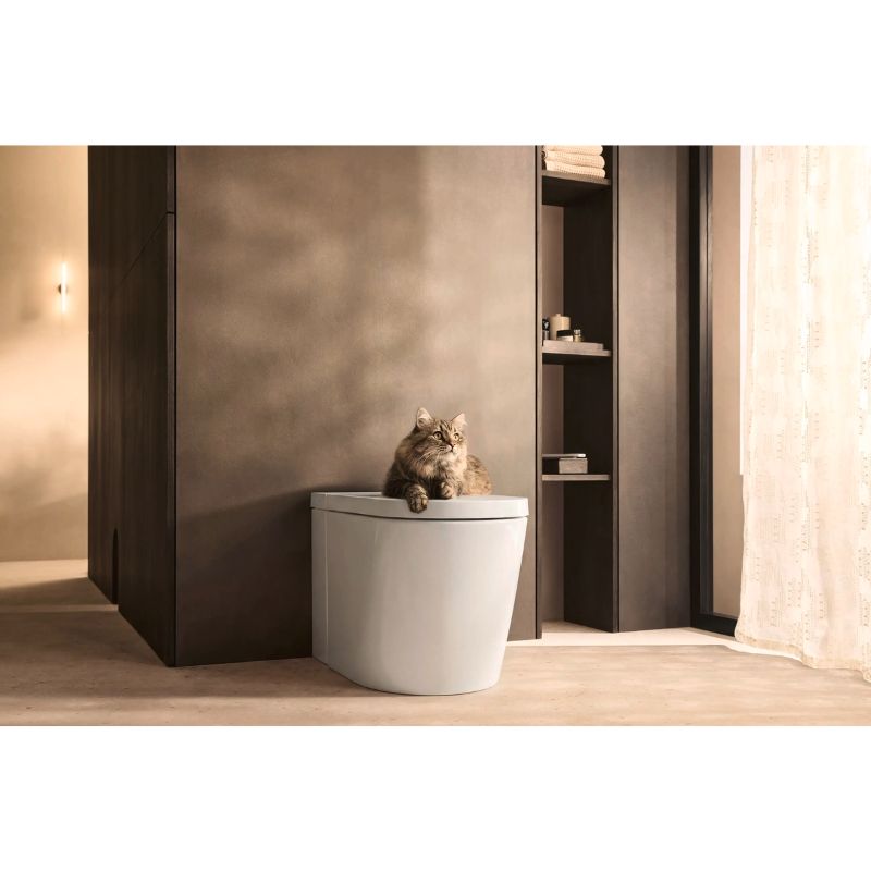 Duravit SensoWash Starck I Plus - A modern white toilet with a brown tabby cat sitting on the lid, set in a minimalist bathroom with warm beige walls and dark wood cabinetry.