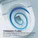 Neorest NX2 with Tornado Flush feature and swirling water pattern.