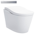 Toto Neorest LS Cotton Silver Trim