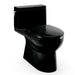 TOTO Redington 1G One-Piece Toilet - 1.0 GPF - Black toilet on a white background