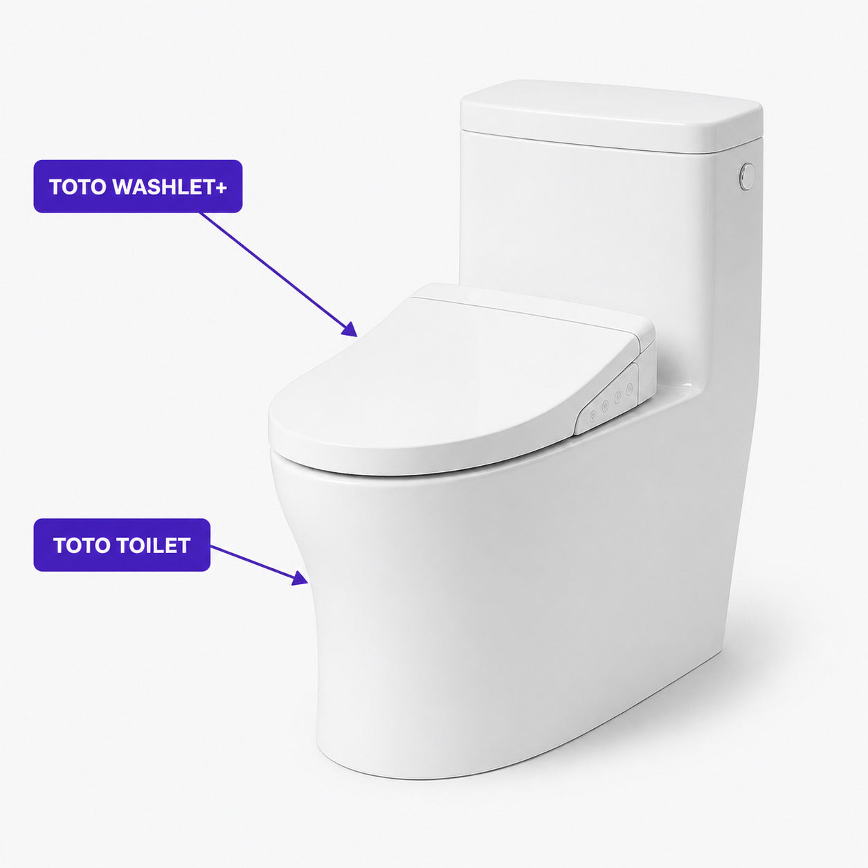TOTO Washlet+ with TOTO toilet