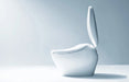 Toto Neorest NX2 side view